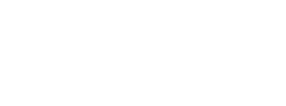 Basketball Wives: Orlando Logo