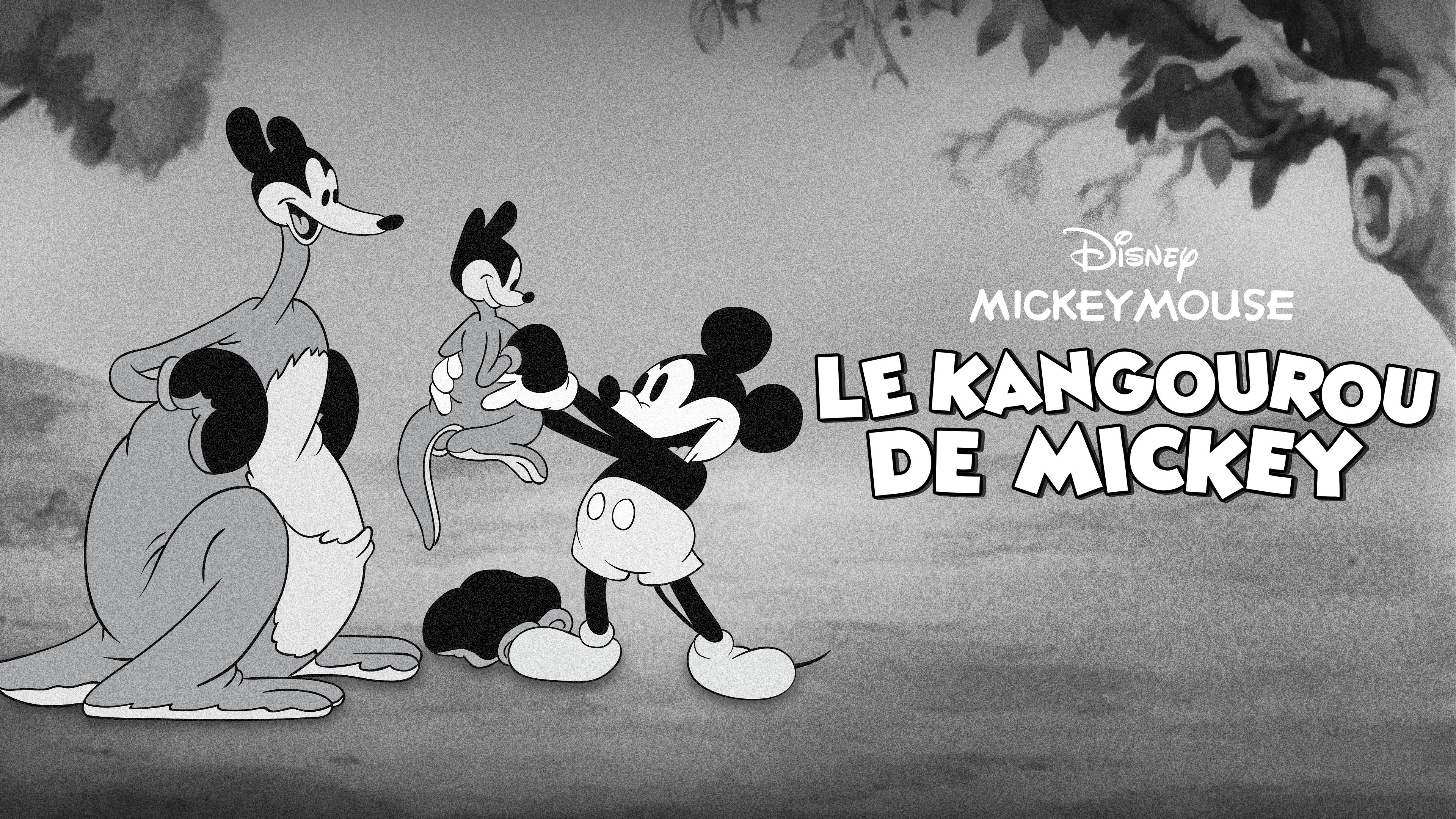 Mickey's Kangaroo