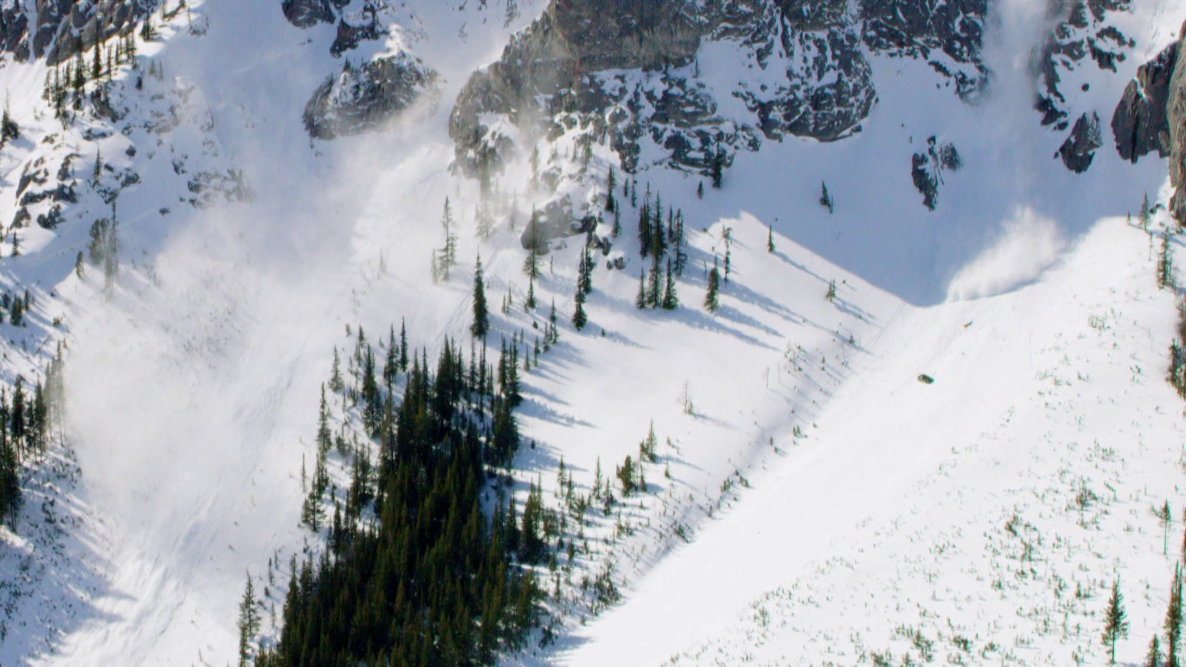 Découverte - Au coeur de l'avalanche