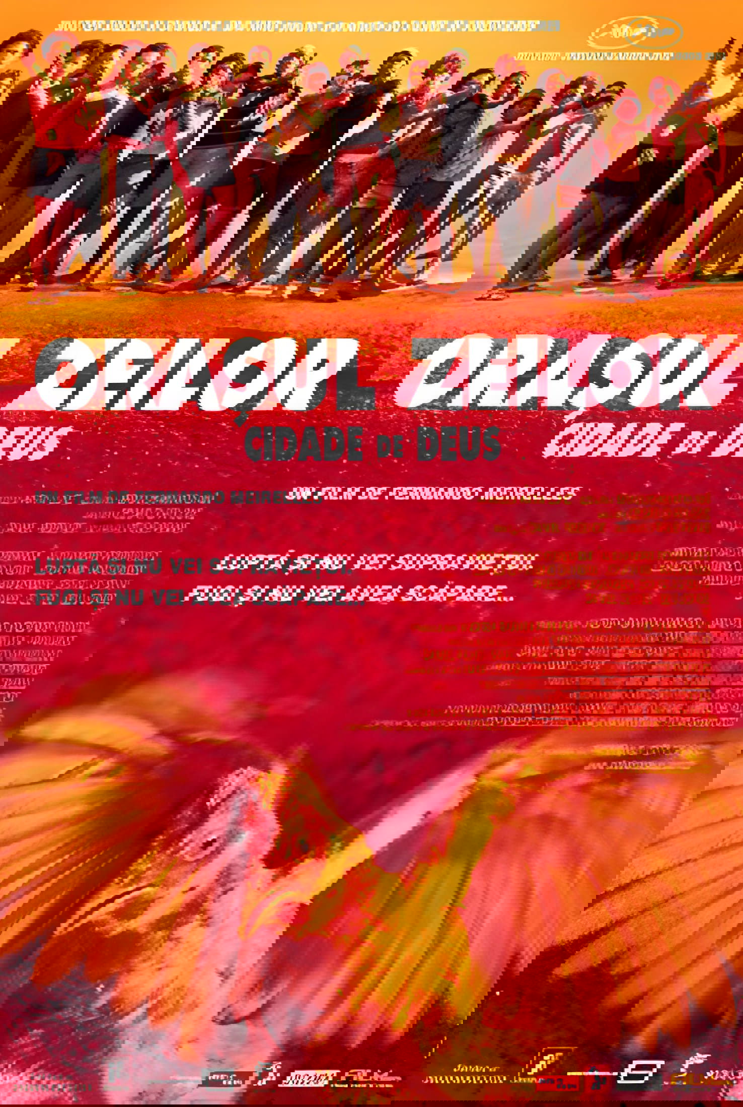 Orașul zeilor