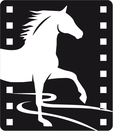 Little Horse Crossing the River