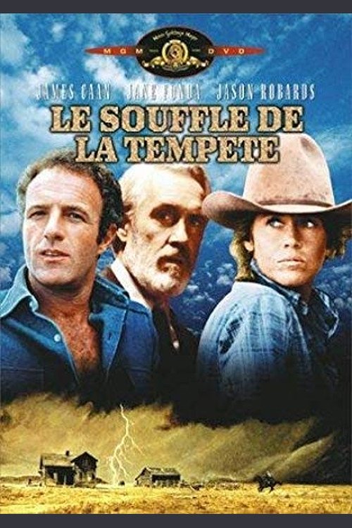 Le Souffle De La Tempête streaming