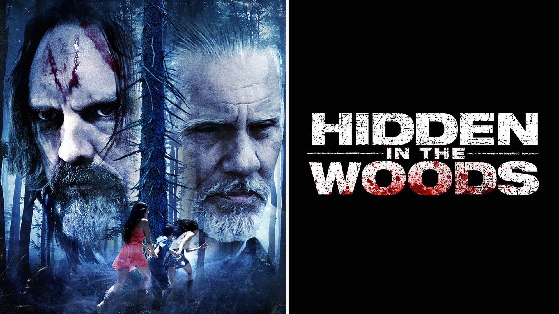 Hidden in the Woods