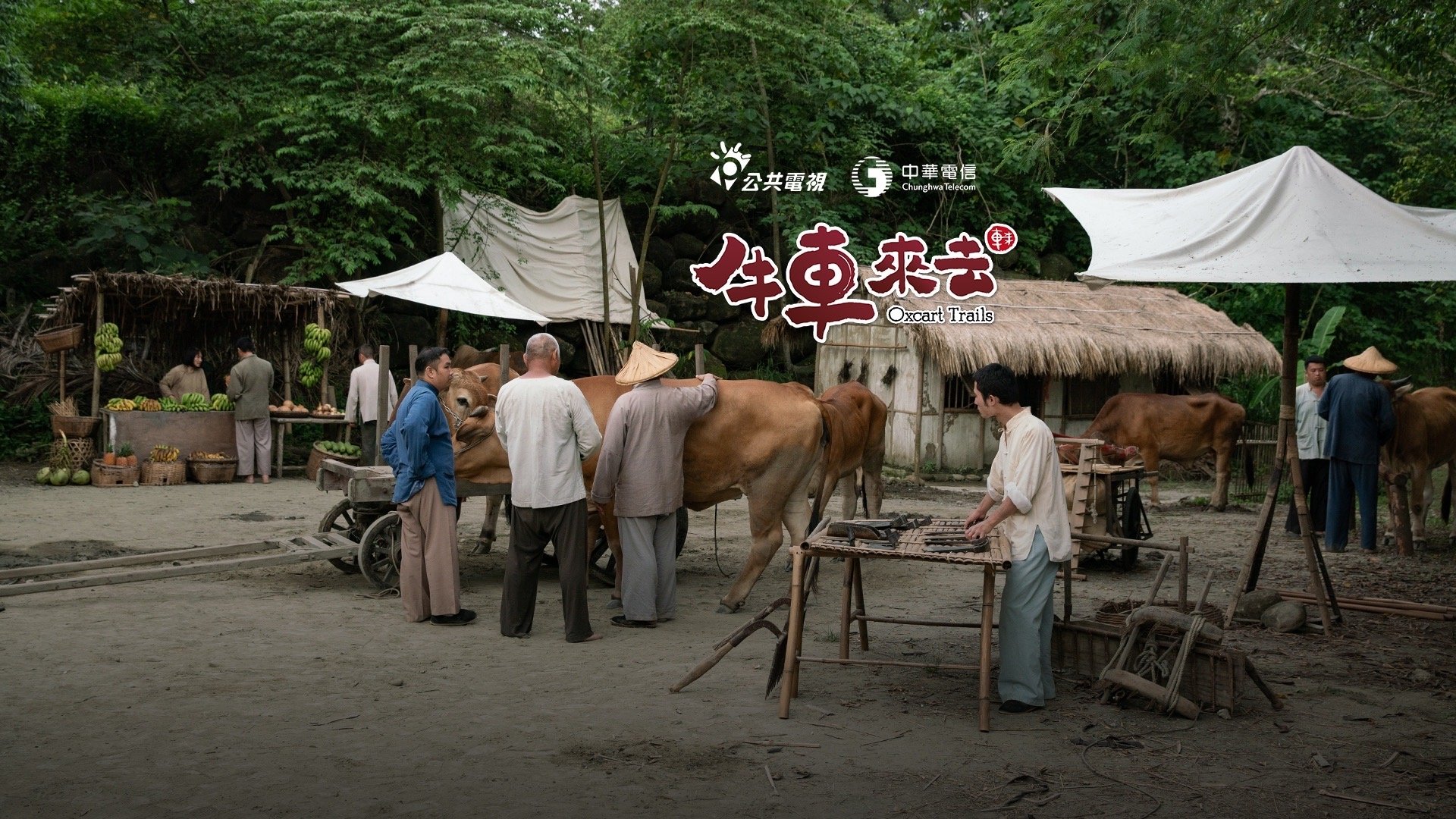 Oxcart Trails