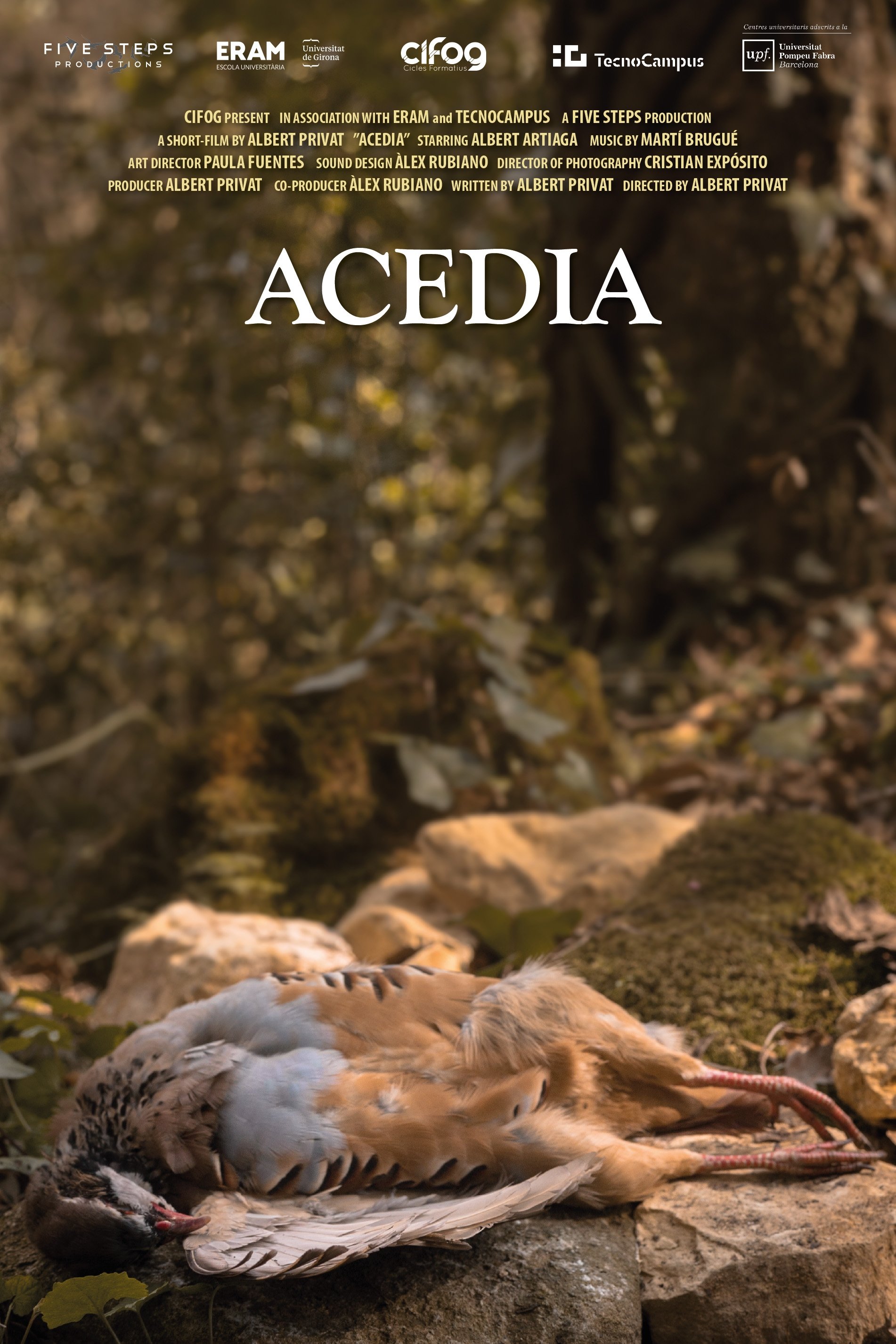 Acedia