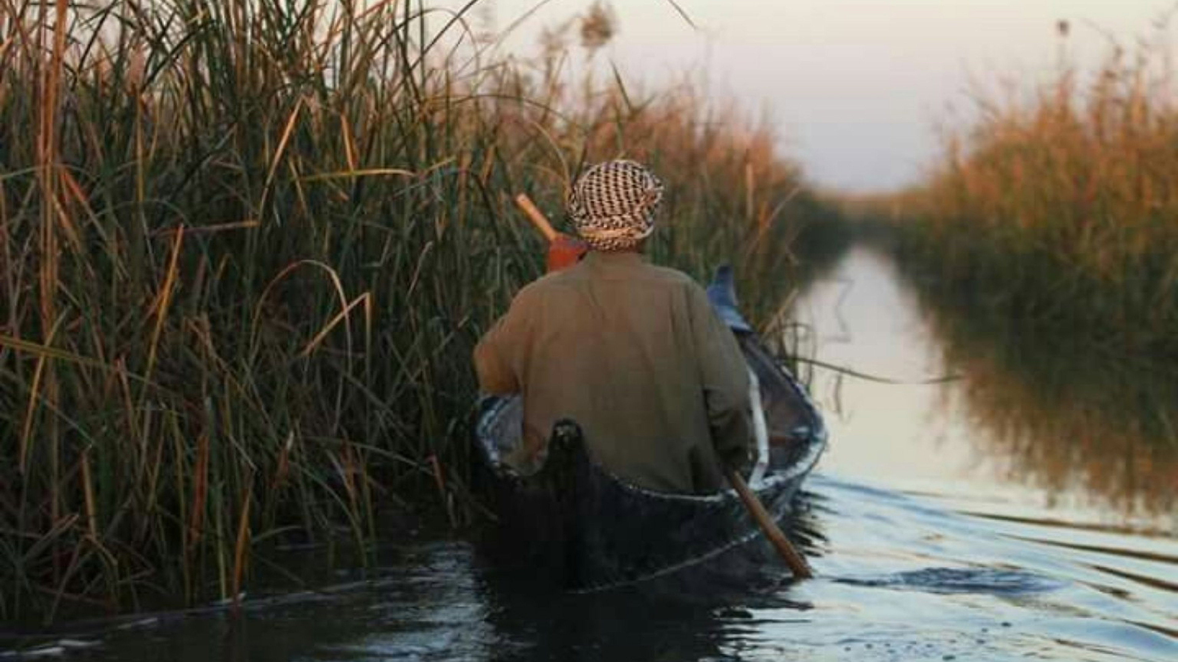 Nasiriyah