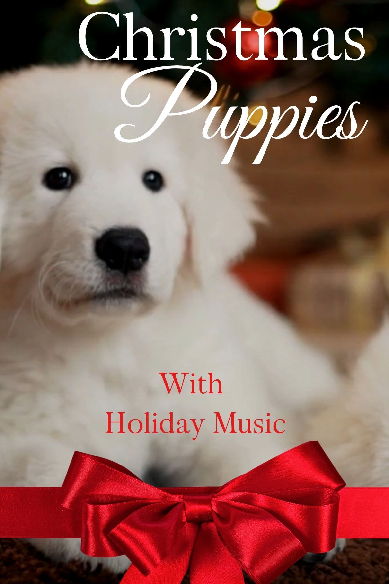 Christmas Puppies on FREECABLE TV