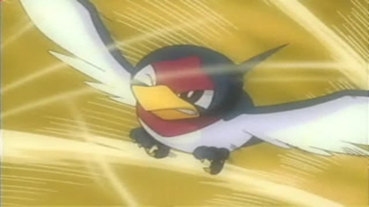 Pokémon Season 7 :Episode 40  That's Just Swellow