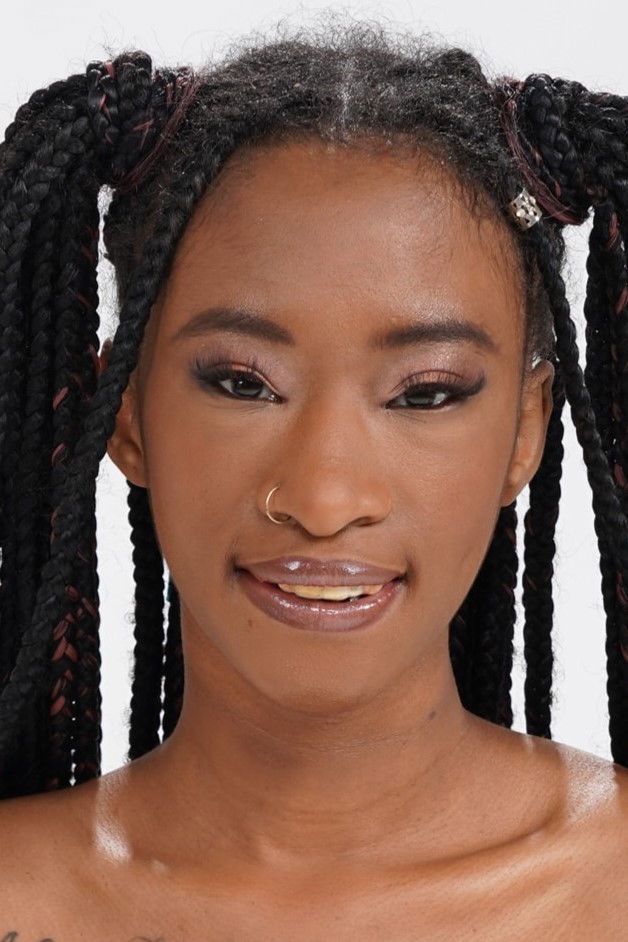 et billede af Mini Stallion