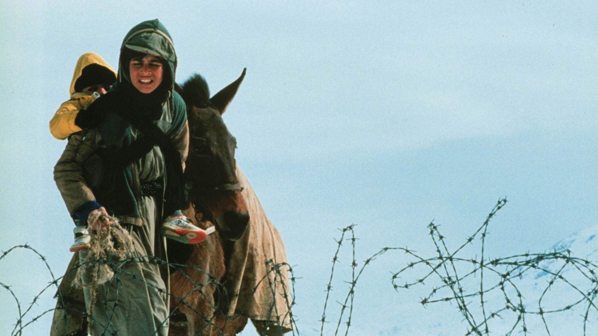 Un temps pour l'ivresse des chevaux (2000)