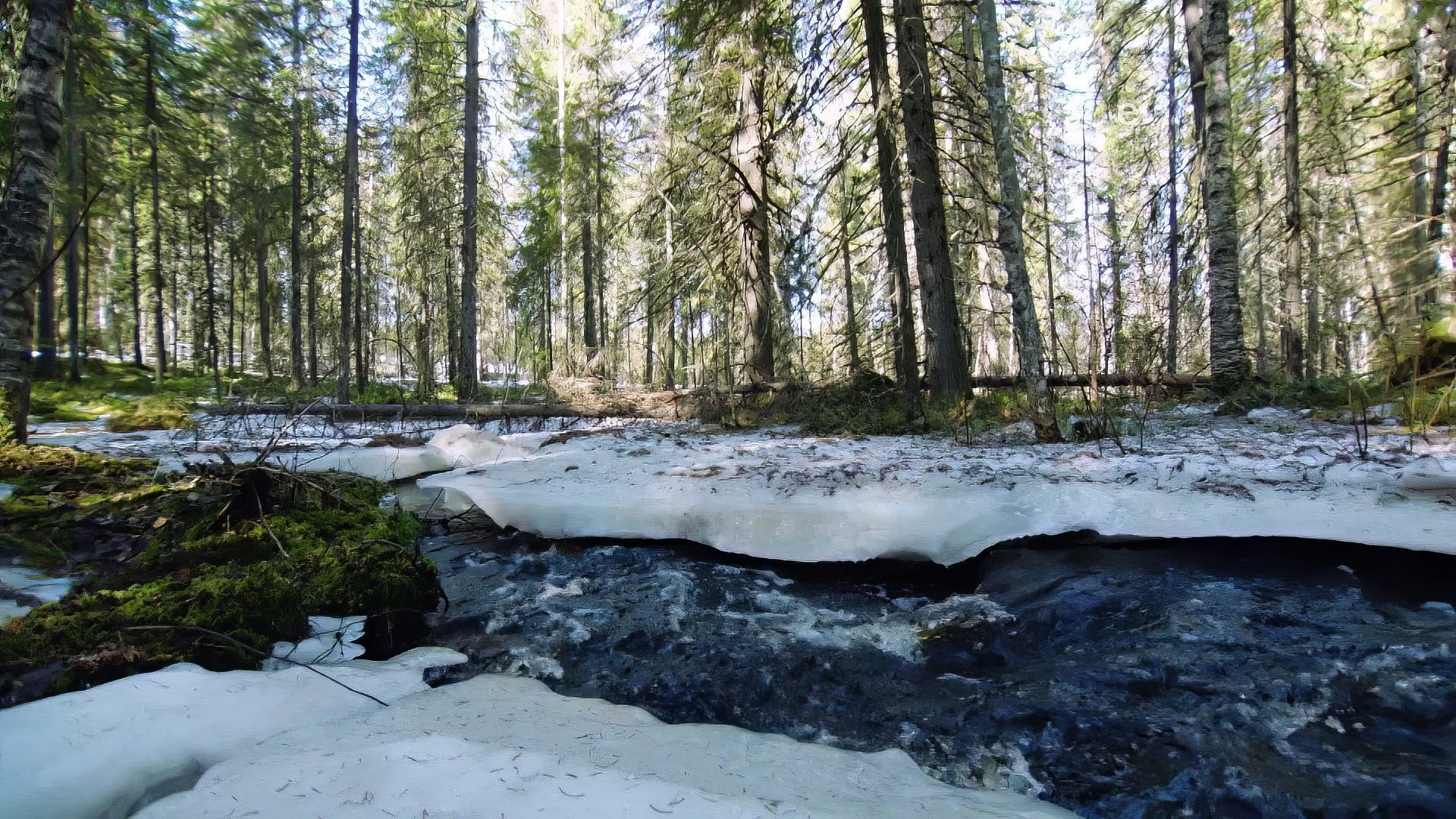 Earth Odyssey with Dylan Dreyer S04E27 backdrop