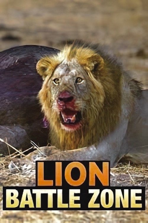 Lion Battle Zone