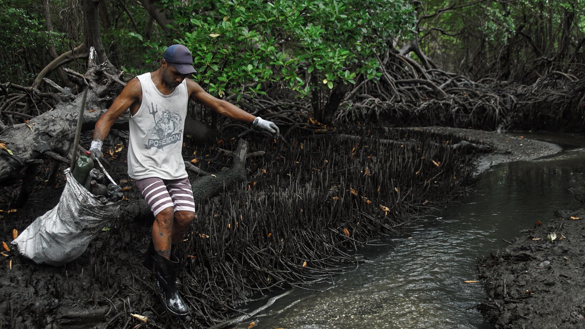 Imagem do Filme Fragmentos de Gondwana