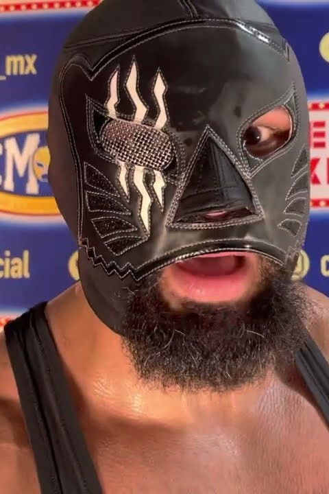 et billede af Dark Panther