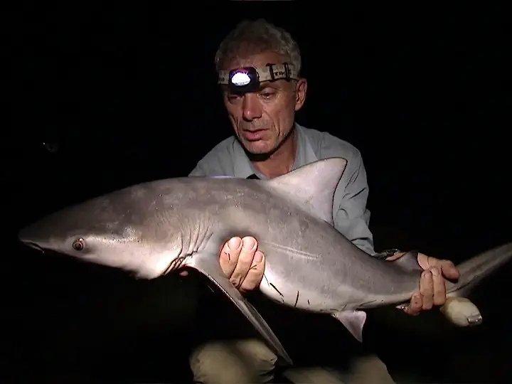 River Monsters