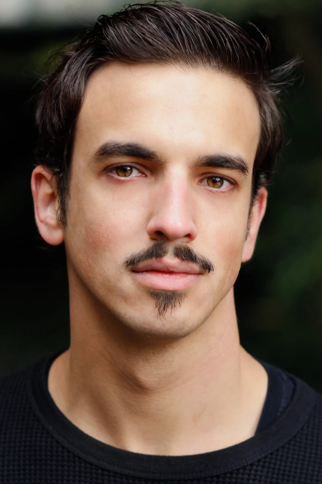 et billede af João Soares dos Reis