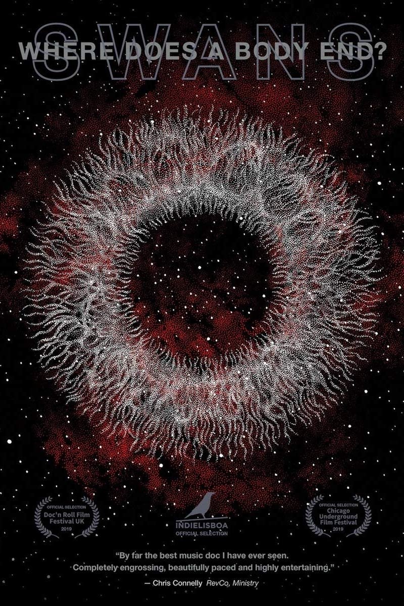 Swans: Where Does a Body End?