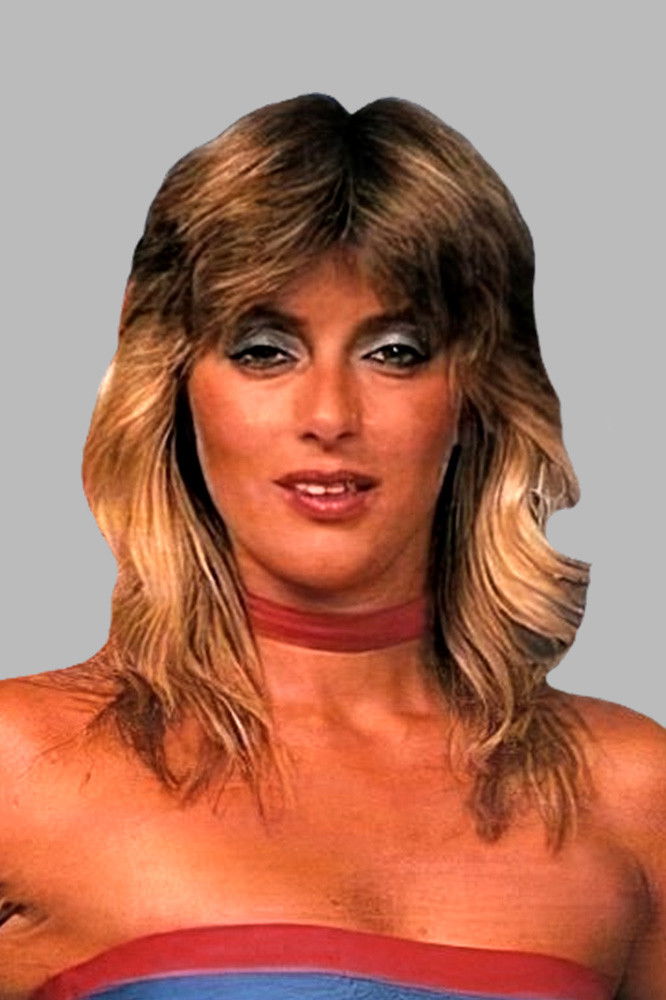 et billede af Diane Syms