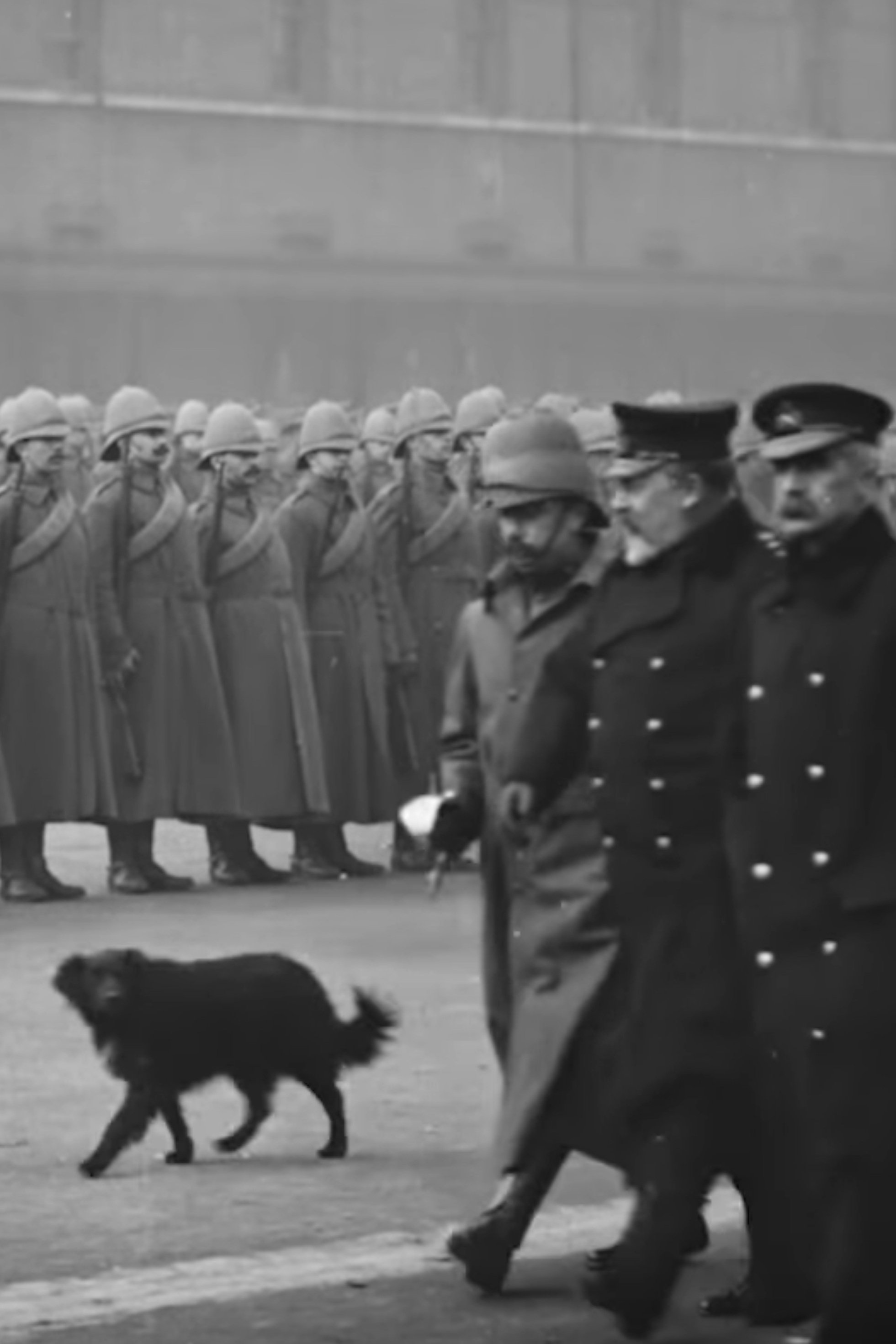 Paget's Horse. Imperial Yeomanry Reviewed by HRH Prince of Wales Paget's Horse. Imperial Yeomanry Reviewed by HRH Prince of Wales