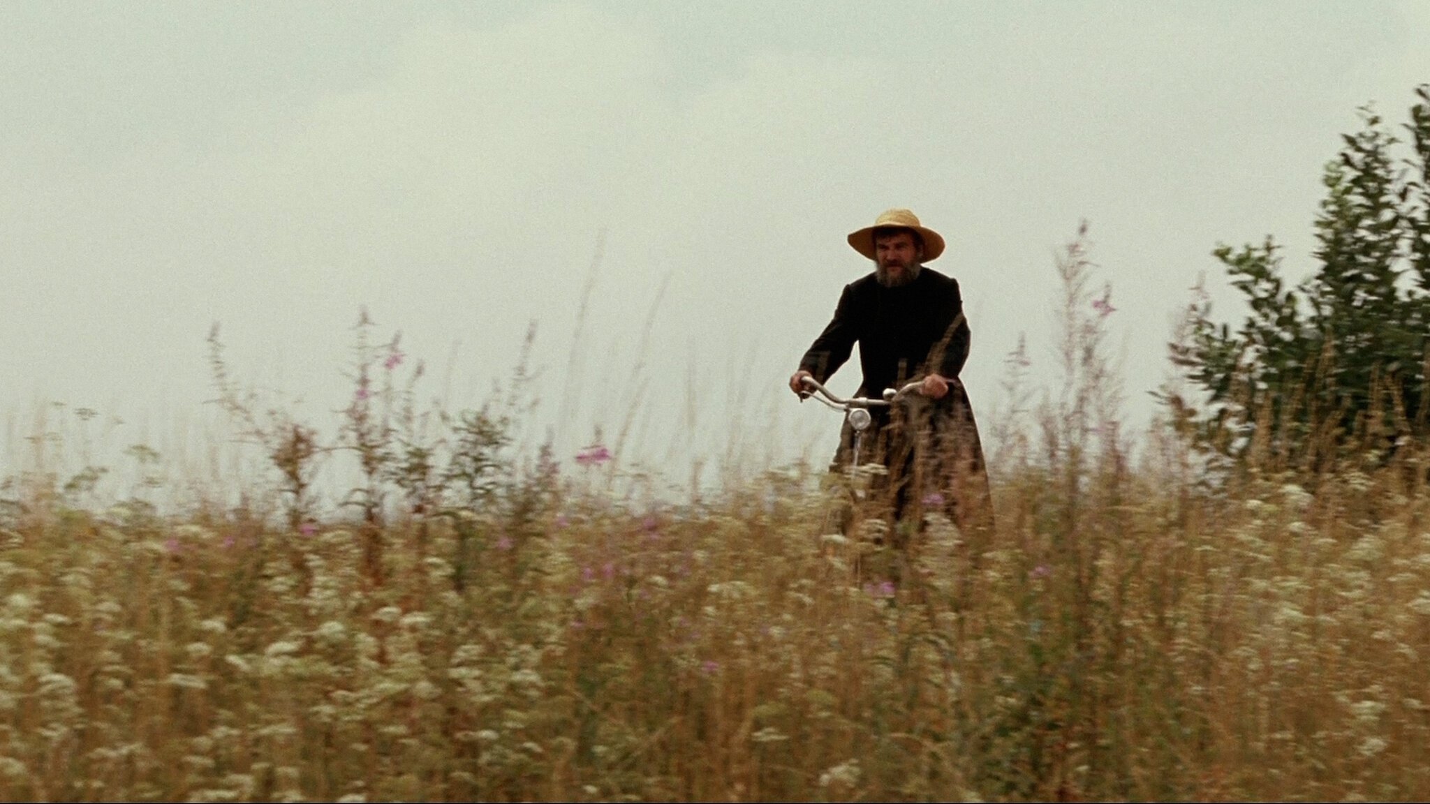 God's Little Garden (2007)