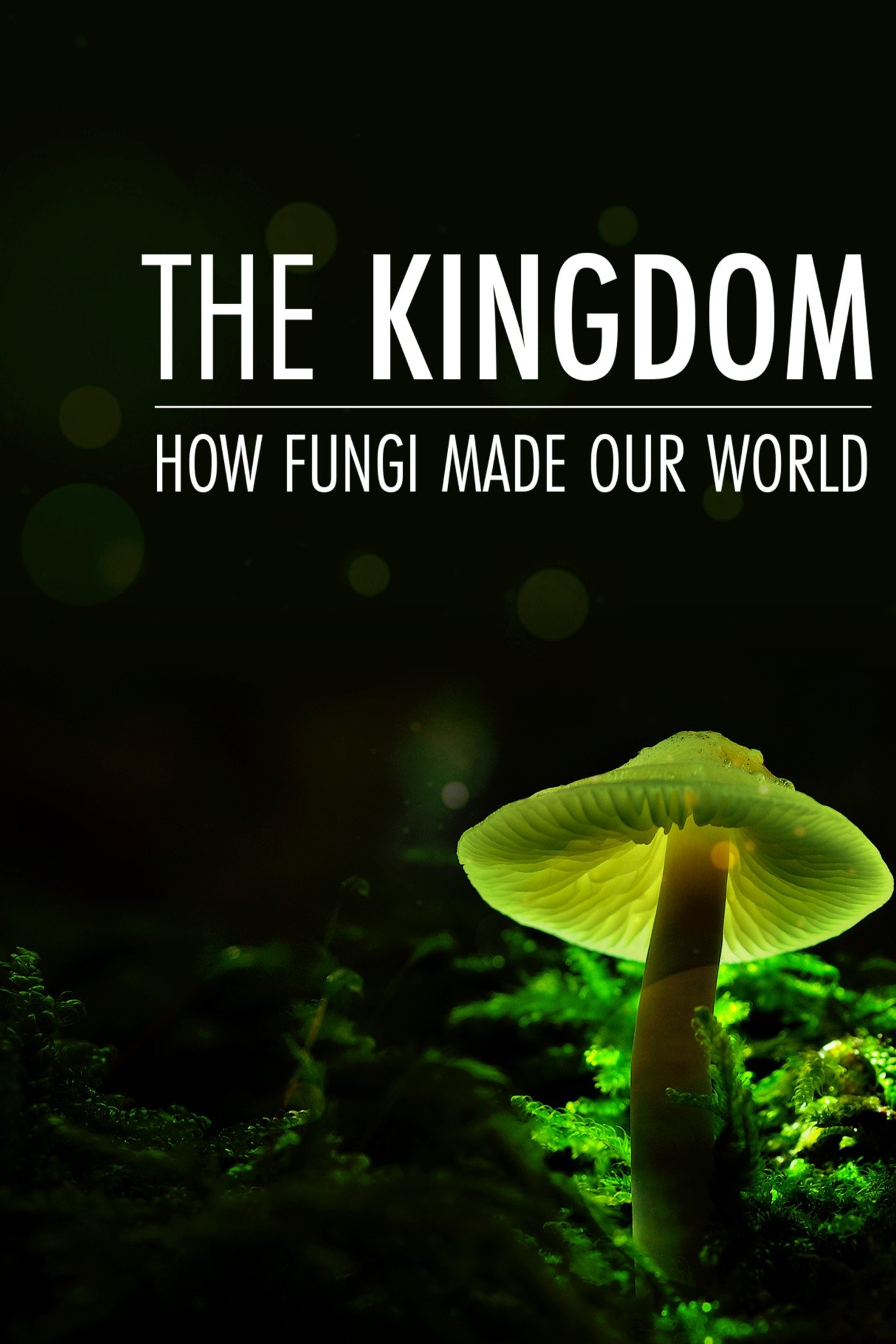 The Kingdom: How Fungi Made Our World