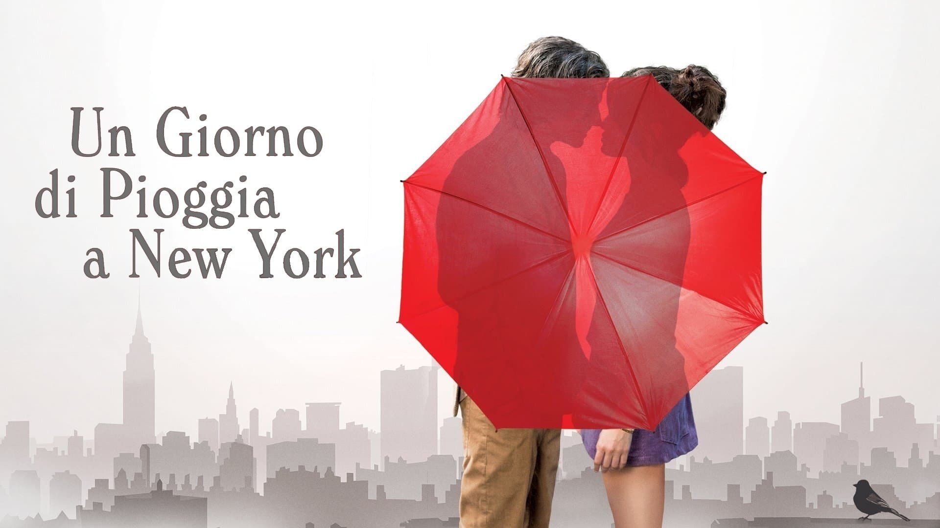 A Rainy Day in New York