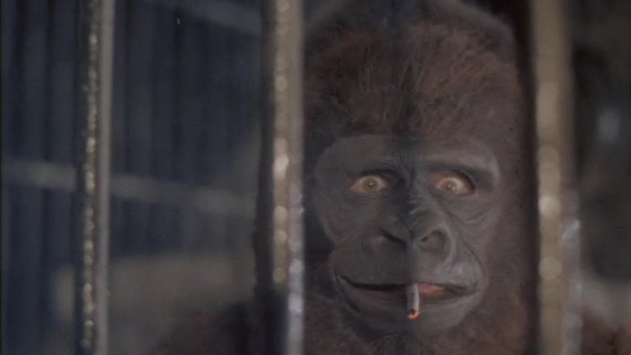 Шкура (1991)