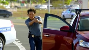 Hawaii Five-0 Staffel 1 :Folge 14 