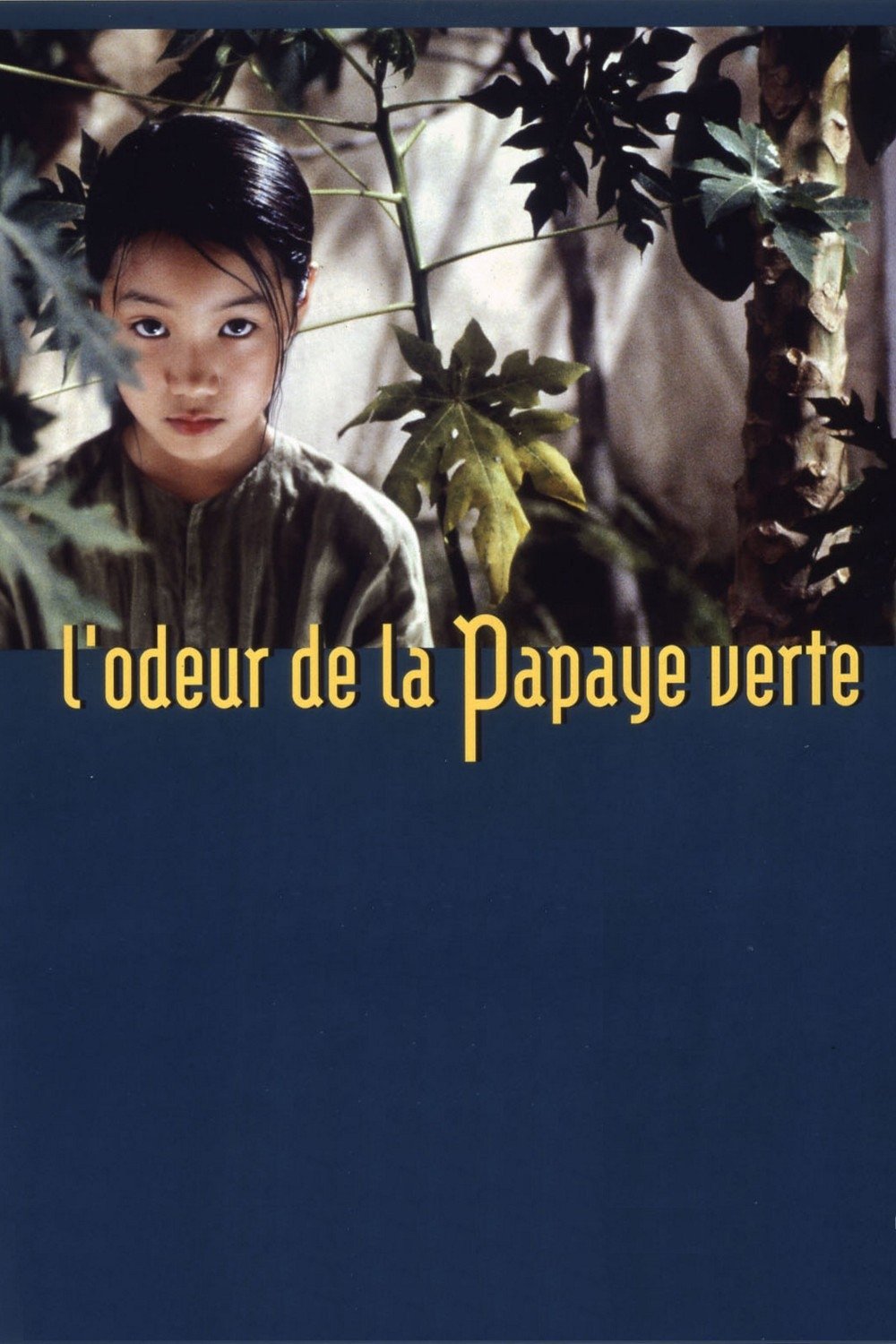 Affiche du film L'odeur de la papaye verte 8838