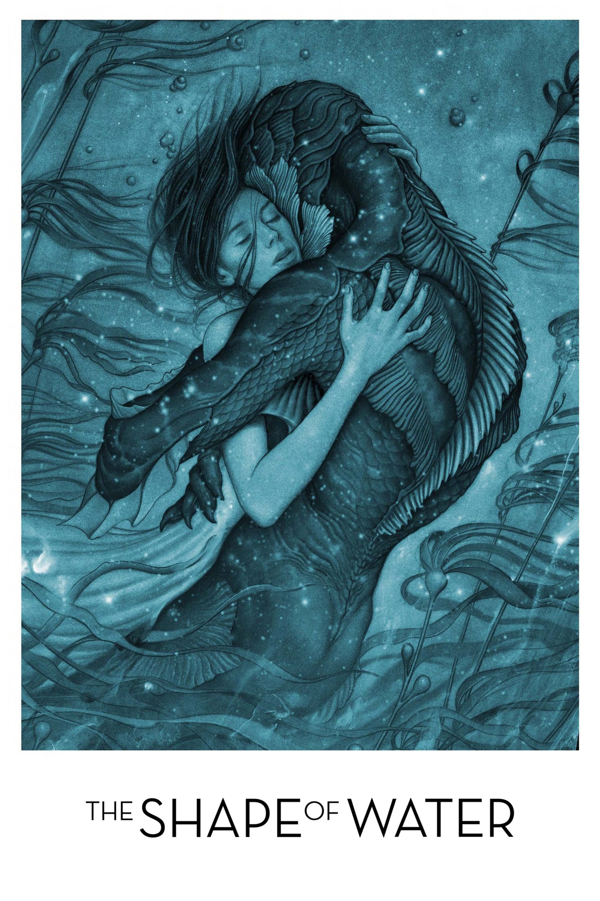 The Shape of Water