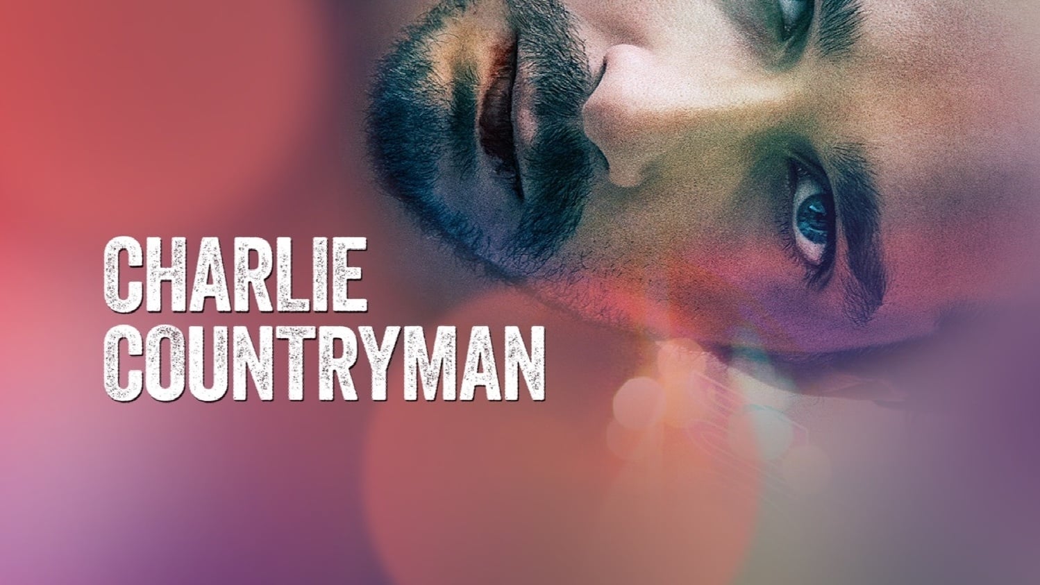 Lang lebe Charlie Countryman (2013)