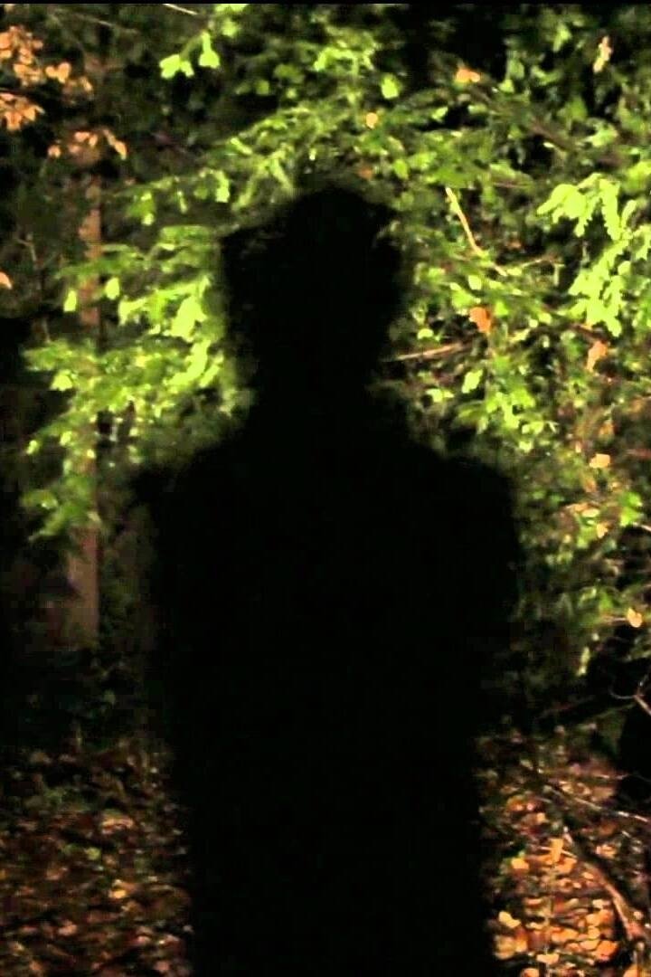 Movie image of : Nick Cave & The Bad Seeds - We No Who U R