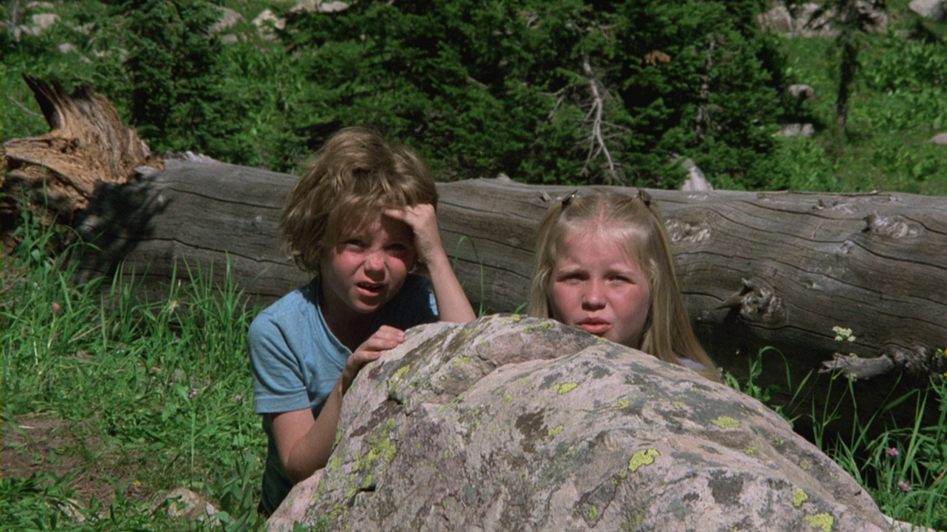 The Adventures of the Wilderness Family (1975)