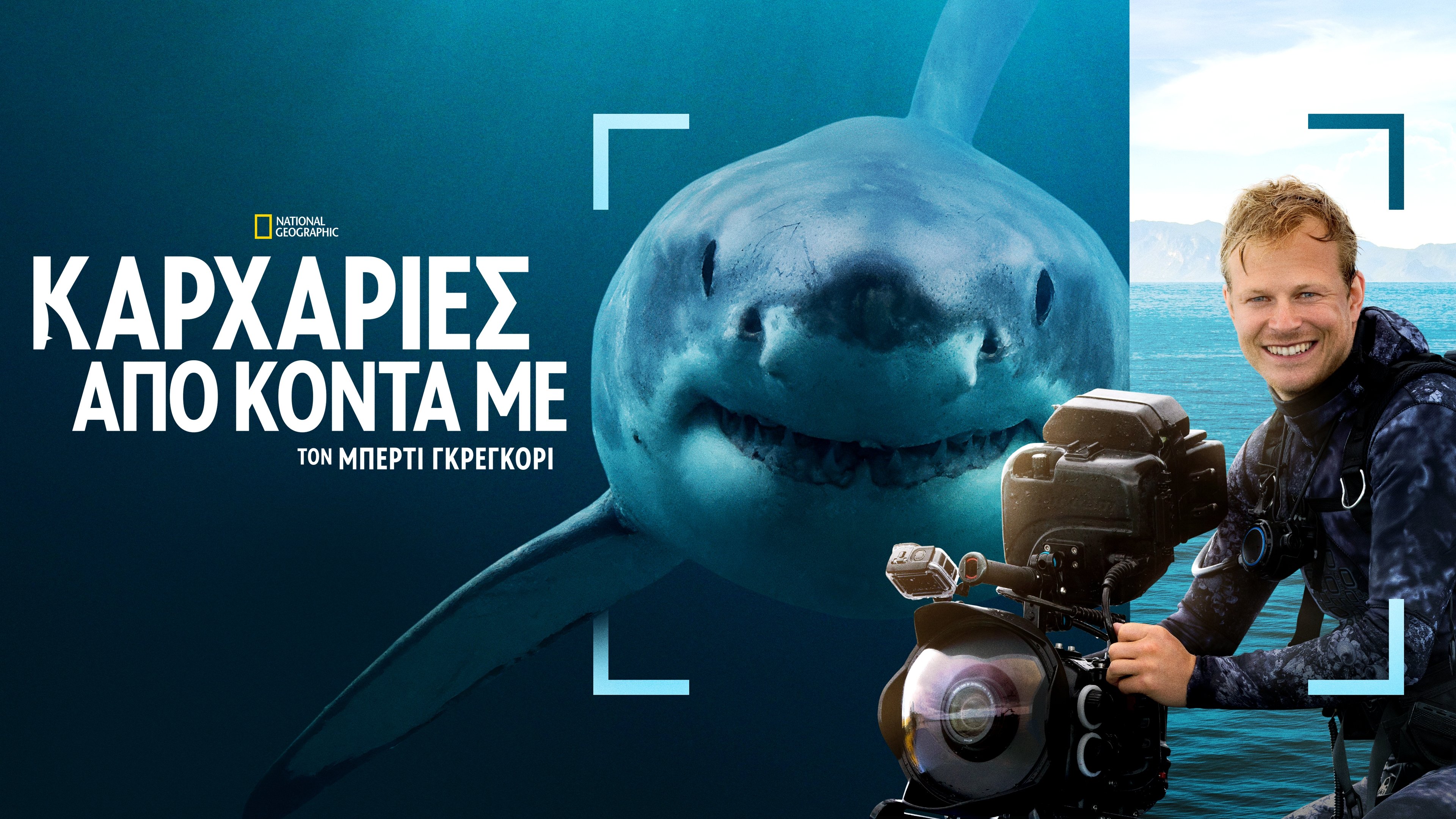 Sharks Up Close with Bertie Gregory backdrop