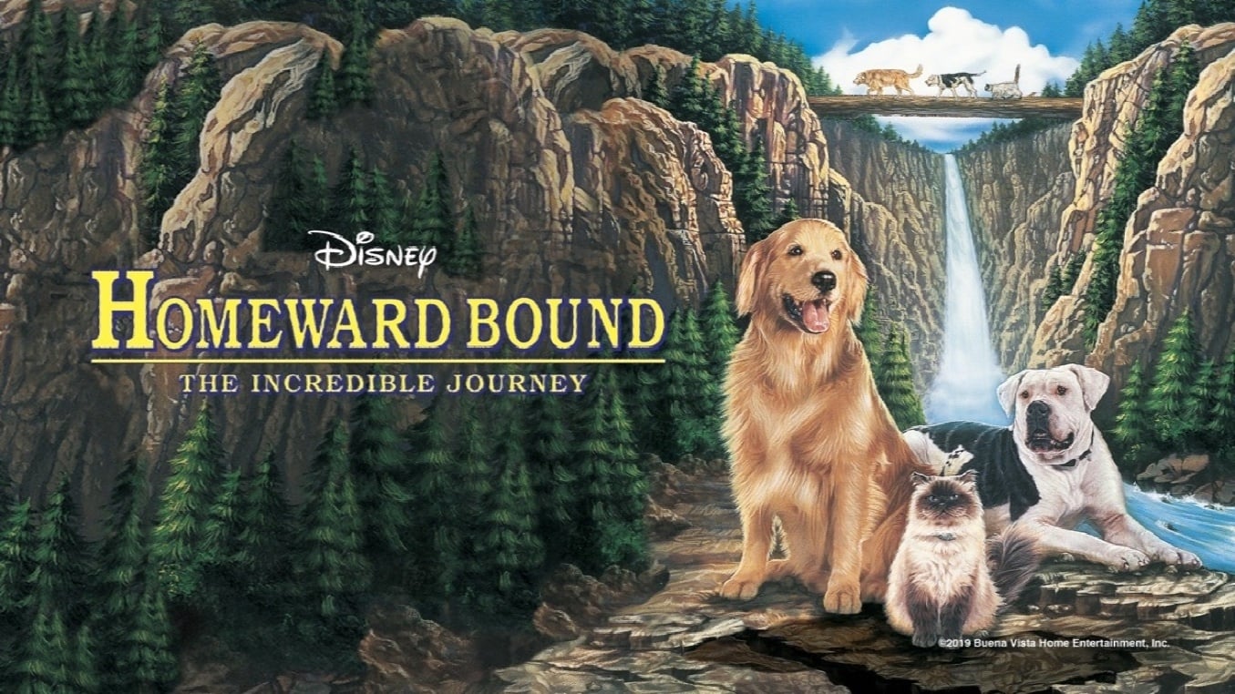 Homeward Bound: The Incredible Journey (1993)