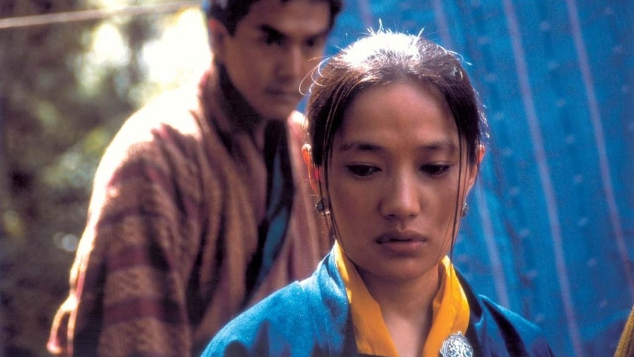 ཆང་ཧུབ་ཐེངས་གཅིག་གི་འཁྲུལ་སྣང (2003)