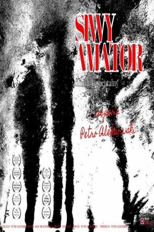 Siwy amator (2025) movie poster