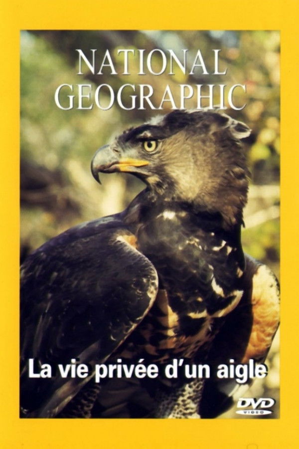 National Geographic - La vie priv&eacute;e d'un aigle (2004)