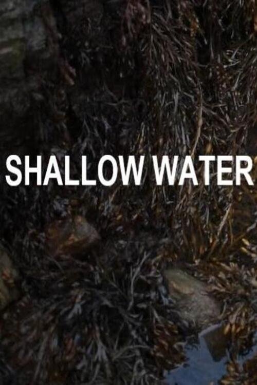 Shallow Water Shallow Water