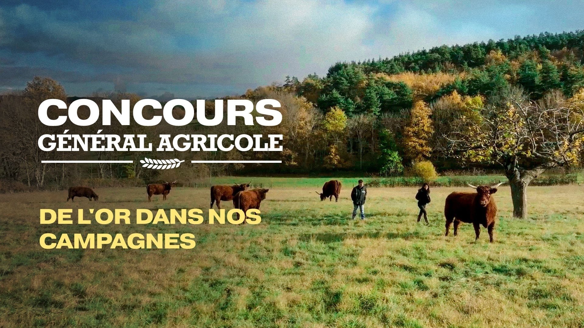 Concours général agricole, de l'or dans nos campagnes