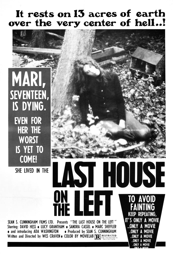 The Last House on the Left Movie poster