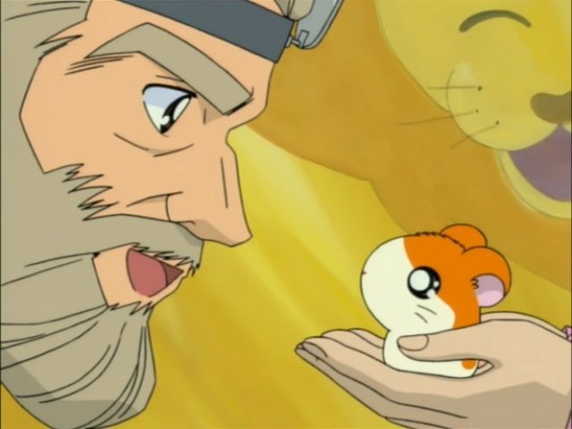 Hamtaro