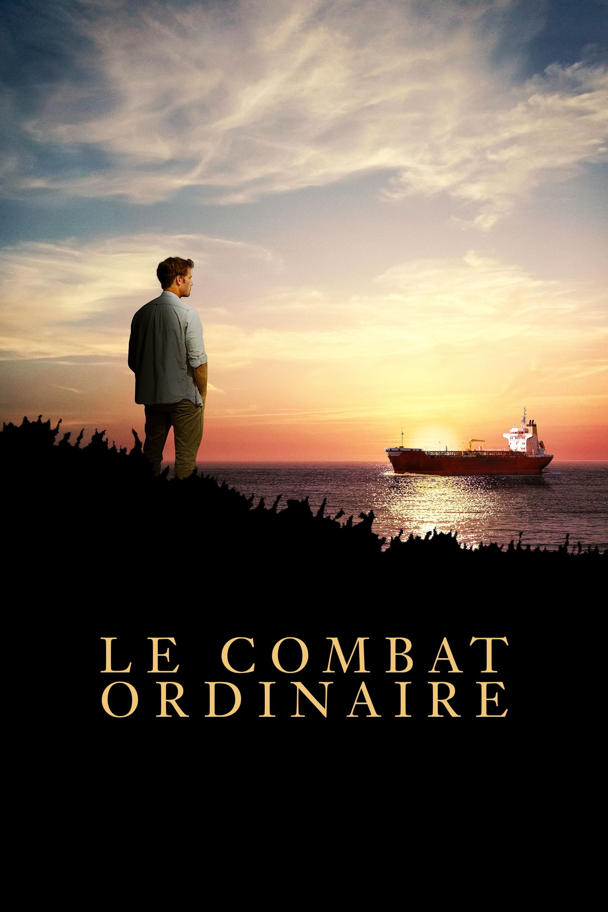 Le Combat ordinaire streaming