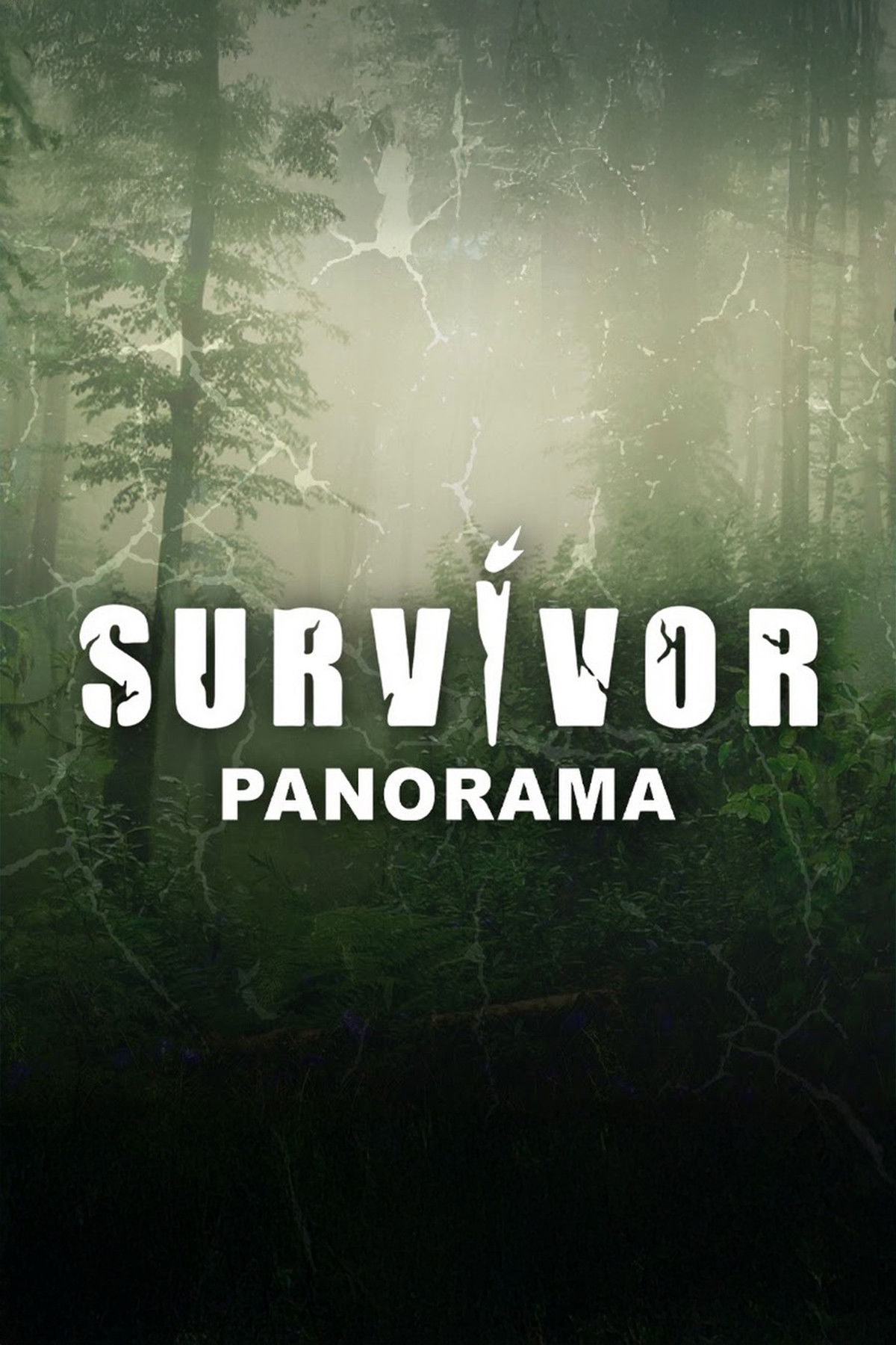 Survivor Panorama poster cover