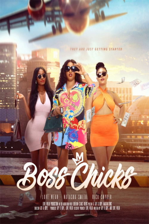 Poster for Boss Chicks