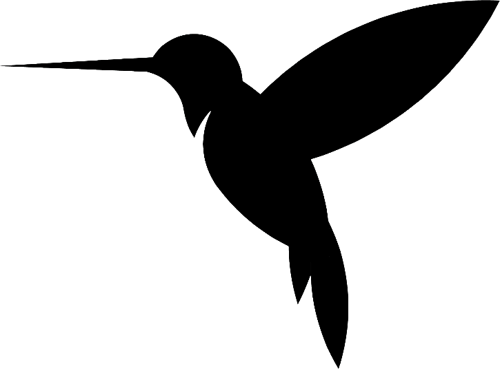 Colibrì12