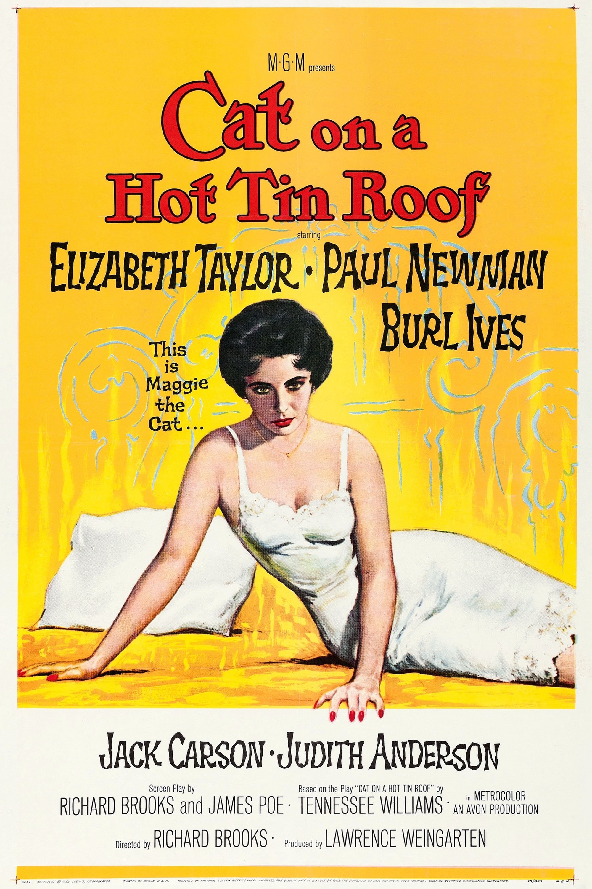 Cat on a Hot Tin Roof