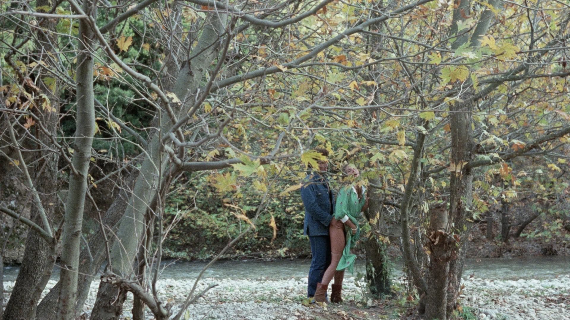 Erotic Passion (1981)