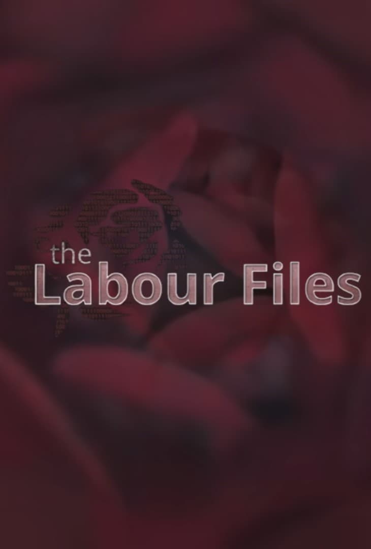 The Labour Files TV Shows About British Politics