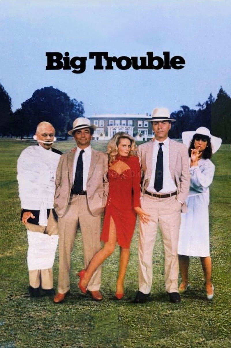 Affiche du film Big Trouble 156201